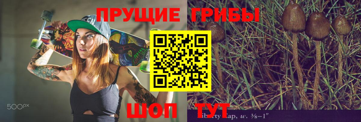 цена наркотик  Псилоцибиновые грибы прущие грибы  Псилоцибиновые грибы прущие грибы  Вход с VPN  Чистополь 